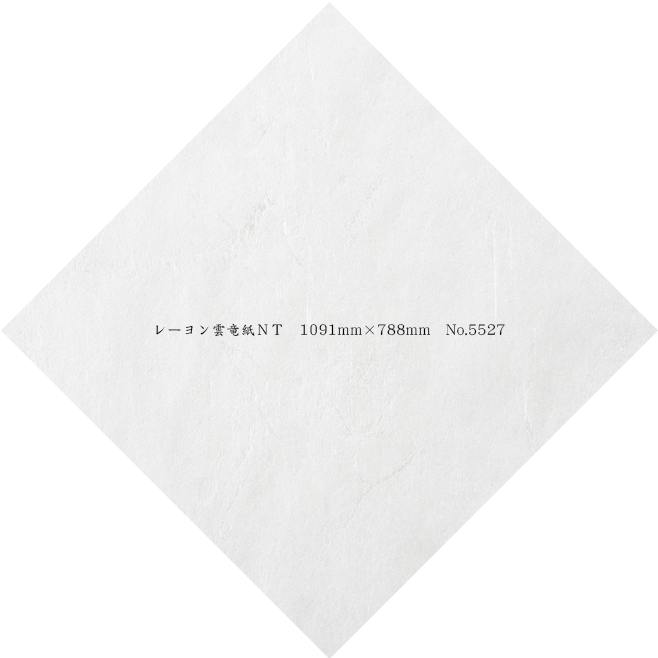 レーヨン雲竜紙ＮＴ 1091mm×788mm No.5527