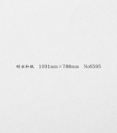 耐水和紙 1091mm×788mm No.6595