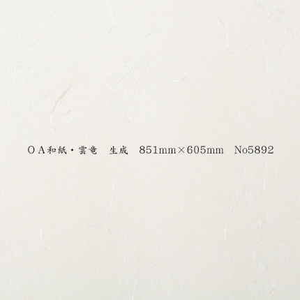 OA和紙・雲竜 生成 851mm×605mm No.5892