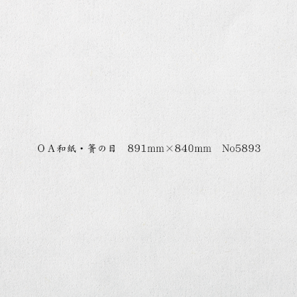 OA和紙・簀の目 891mm×840mm No.5893